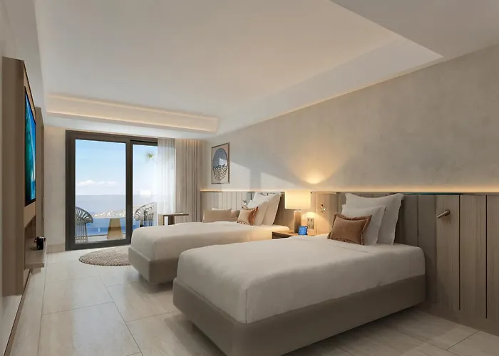 Deluxe Double or Twin Room